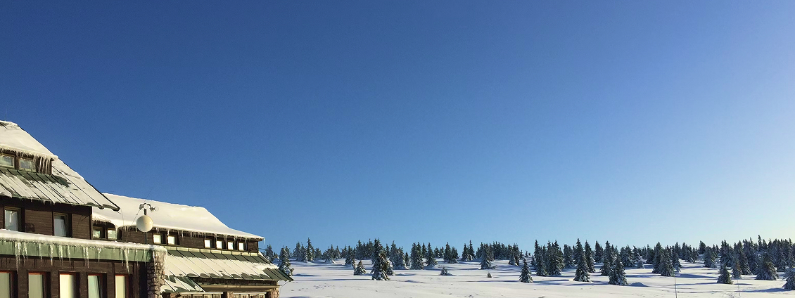 SkiFun - snowboarding on 